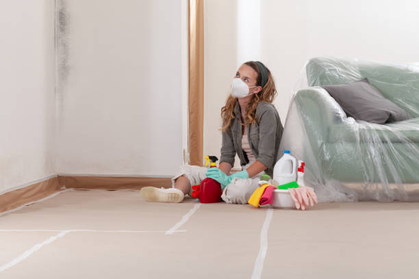 Reliable Mold Testing contractor in Wheaton, MD by WQB Mold Removal